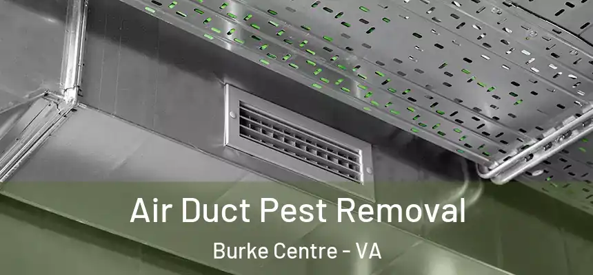Air Duct Pest Removal Burke Centre - VA
