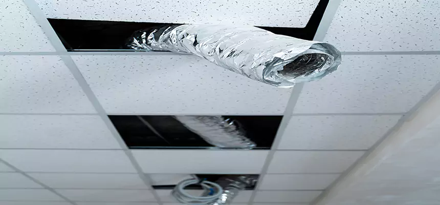 Our Air Duct Pet Hair Removal Services in Burke Centre, VA