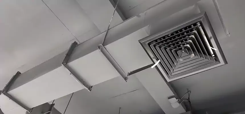 Our Pest Removal From Ducts Services in Burke Centre, VA