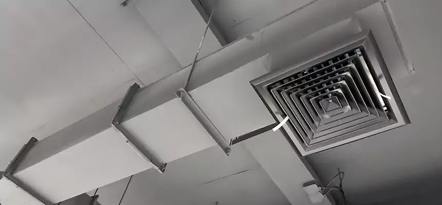 Our Rodent Droppings In Vents Services in Burke Centre, VA