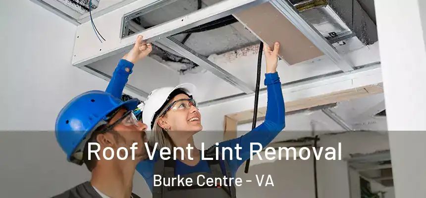 Roof Vent Lint Removal Burke Centre - VA
