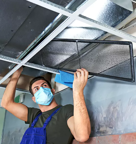 About Air Duct Bacteria Removal in Burke Centre