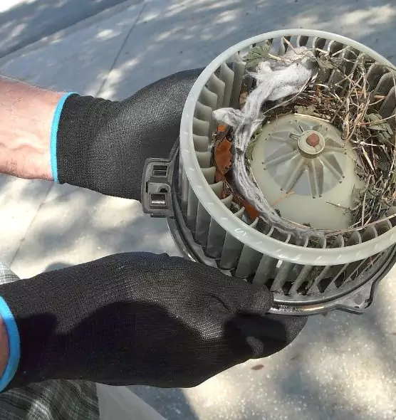 About Air Duct Mice Removal in Burke Centre, VA