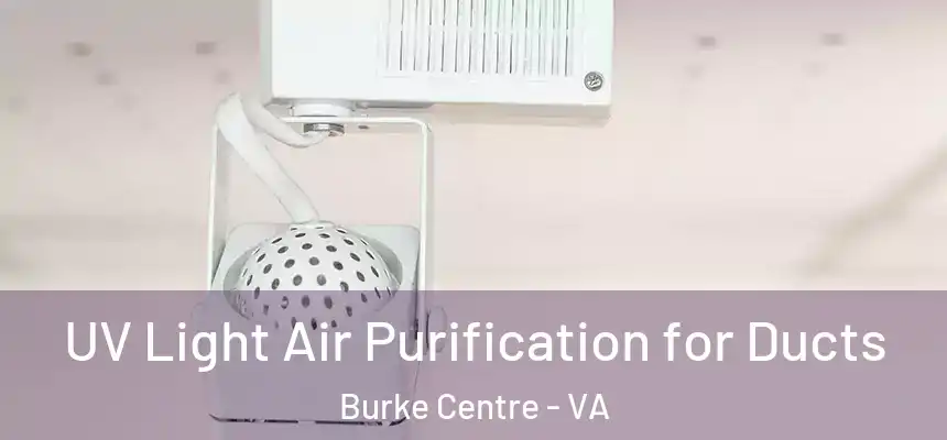  UV Light Air Purification for Ducts Burke Centre - VA